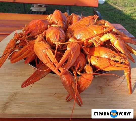 Раки донские и мясо рапанов доставка Севастополь - изображение 1