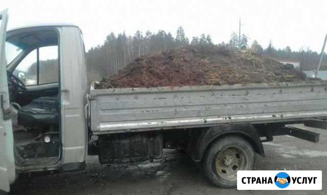 Продам навоз перегной Чебаркуль - изображение 1