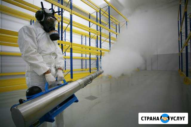 Уничтожение клещей, тараканов, клопов в Ставрополе Ставрополь - изображение 1