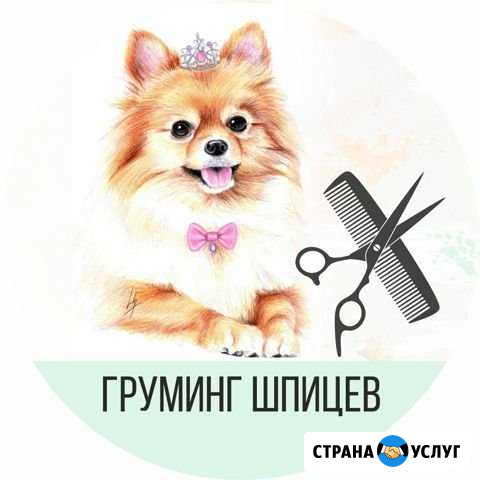 Стрижка собак Бугульма - изображение 1