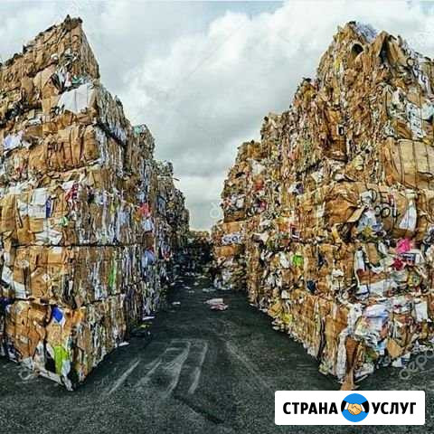 Прием макулатуры Хасавюрт - изображение 1