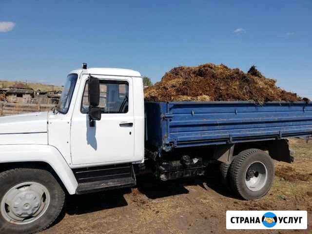 Перегной, навоз Ачинск - изображение 1