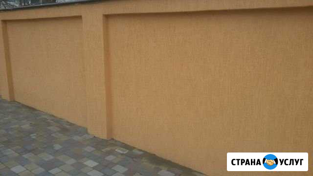 Кароед Махачкала - изображение 1