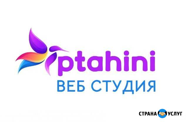 Продвижение и создание сайтов, интернет магазинов Владимир - изображение 1