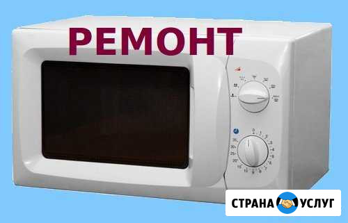 Ремонт микроволновок, утюгов Лосино-Петровский - изображение 1