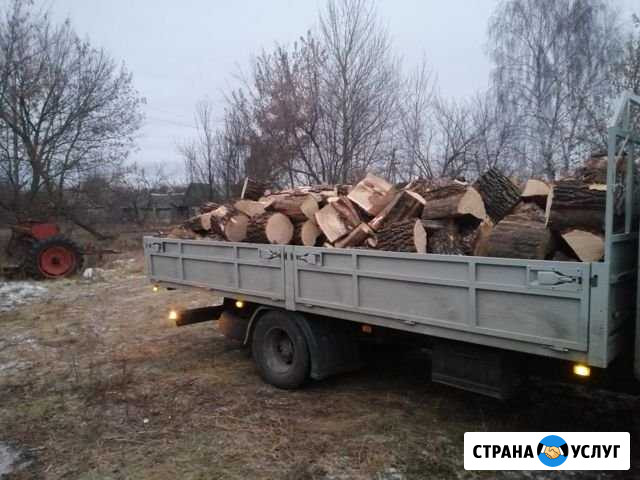 Дрова дубовые колотые Беково - изображение 1