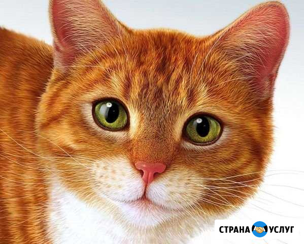 Копирайтинг/верска/корректура Сергиев Посад - изображение 1