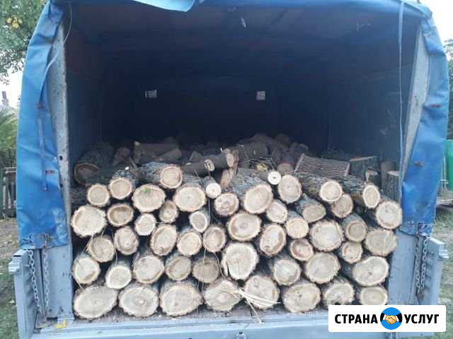Продам дрова Таганрог - изображение 1