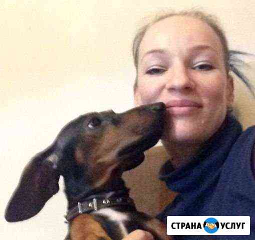 Кинолог, дрессировка Сочи