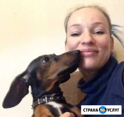Кинолог, дрессировка Сочи - изображение 1