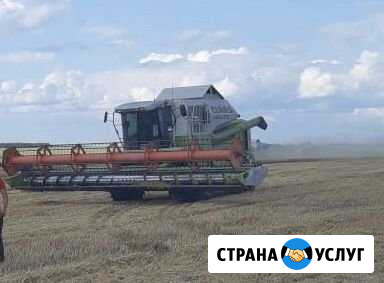 Уборка масляничных,зерновых культур урожая 2020 Выселки - изображение 1