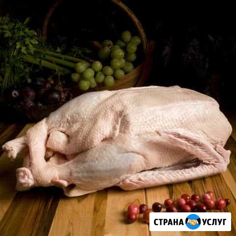 Мясо утки Муларды Ижевск - изображение 1