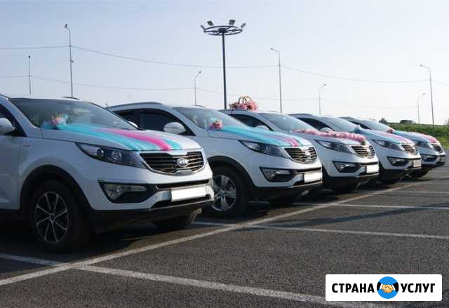 Авто на свадьбу Людиново - изображение 1
