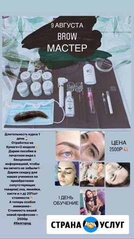 Курс бровист (брови, brow мастер) Белгород - изображение 1