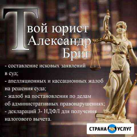 Юрист. Судебный юрист Александр Бриг Новосибирск