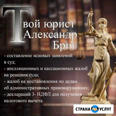 Юрист. Судебный юрист Александр Бриг Новосибирск - изображение 1