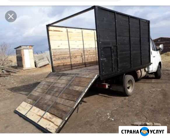 Газель скотовоз. Перевозка скота Орск - изображение 1