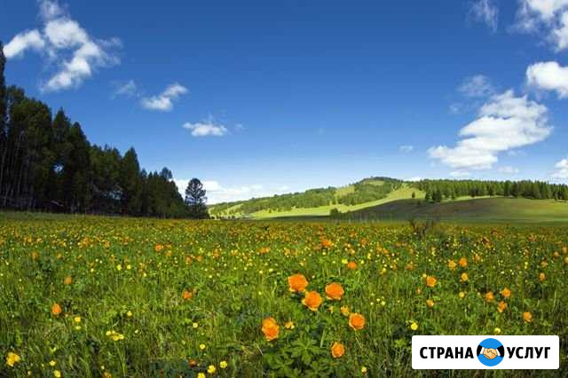 Целитель, знахарь, биоэнерготерапевт Прибельский - изображение 1