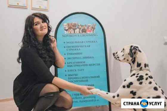Стрижка собак-груминг Сочи