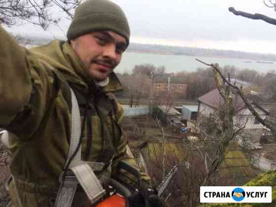 Спил деревьев Таганрог