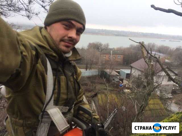 Спил деревьев Таганрог - изображение 1