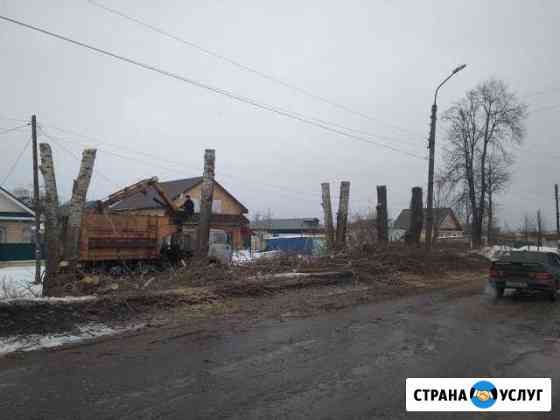 Спил деревьев, кронирование, покос травы Балахна