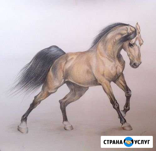 Мастер на час Иркутск - изображение 1