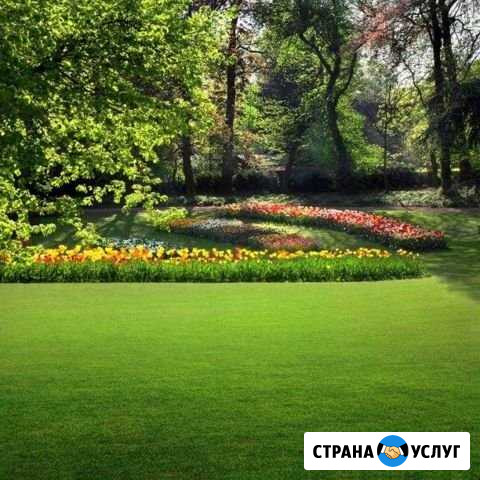 Спил деревьев, покос участков, строительные работы Уваровка - изображение 1