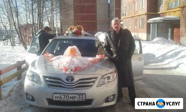 Автомобиль на свадьбу, выписку Владимир - изображение 1