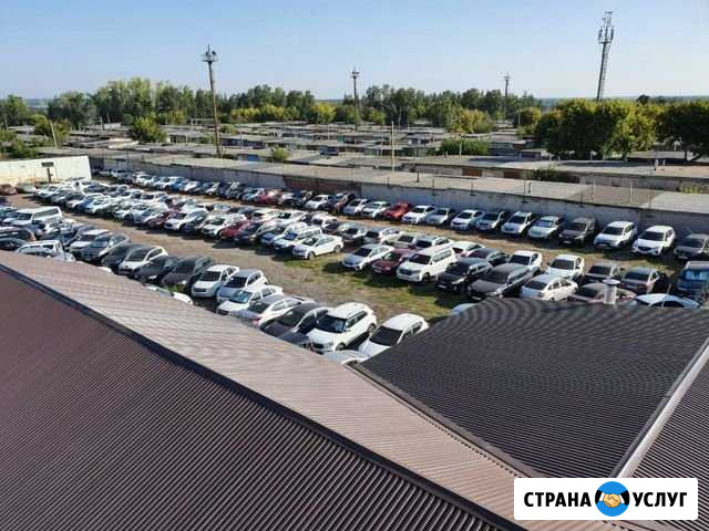 Автостоянка №1 в Аэропорту Курумоч (Самара) Береза - изображение 1