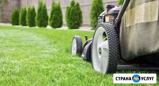 Скос травы, Стрижка газона, Бурьяна Казань