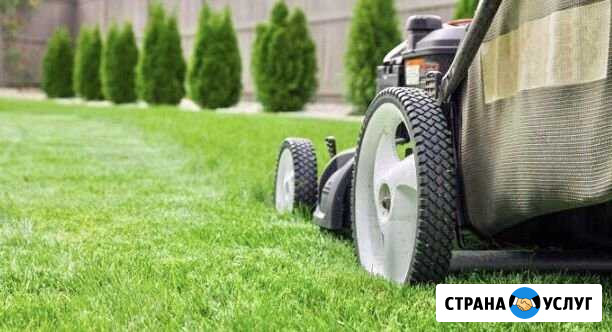 Скос травы, Стрижка газона, Бурьяна Казань - изображение 1