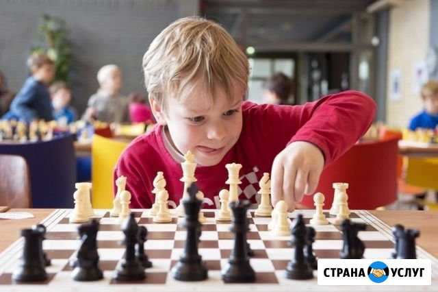 Шахматы для детей от 4 лет Волгоград - изображение 1