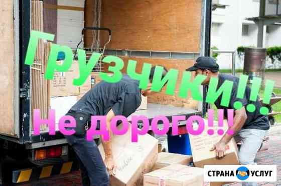 Грузчики Воронеж