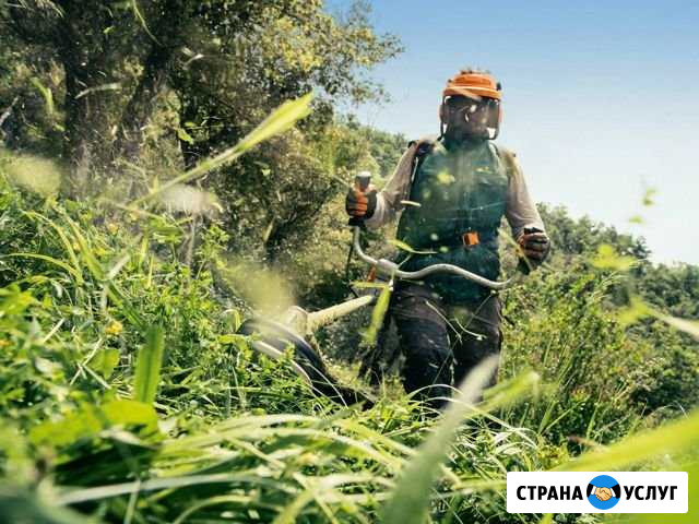 Покос травы, Выкорчевание деревьев Луга - изображение 1