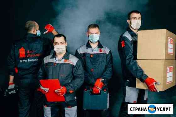 Грузчики и Разнорабочие Тольятти