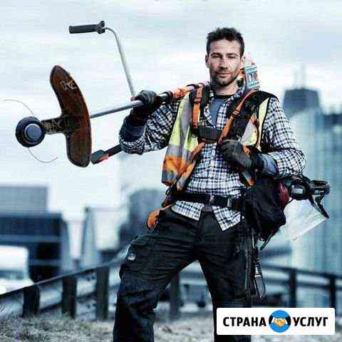 Покос травы Кострома