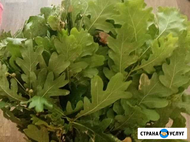 Веники берёза, дуб Сызрань - изображение 1