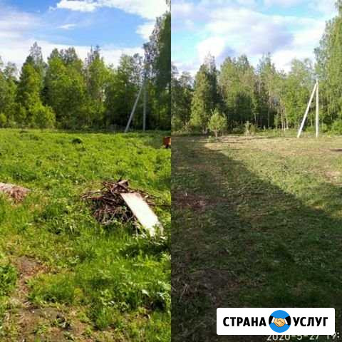 Покос травы Томск - изображение 1
