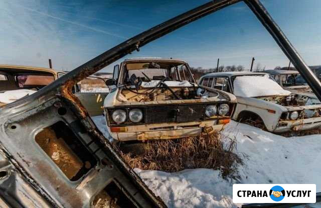 Выкуп автомобилей.Утилизация автомобилей Санкт-Петербург - изображение 1