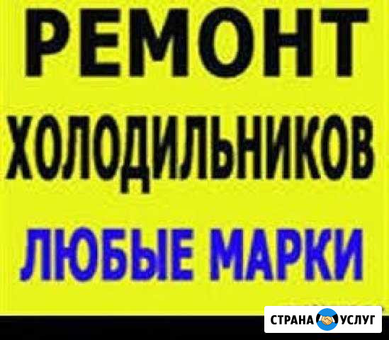 Ремонт холодильников выезд бесплатный Зеленодольск - изображение 1