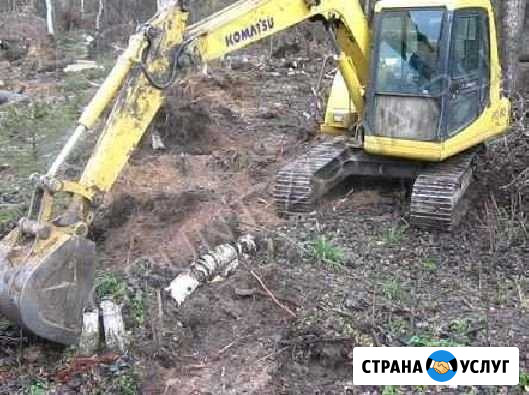 Спил деревьев, корчевание пней и уборка участка Всеволожск - изображение 1