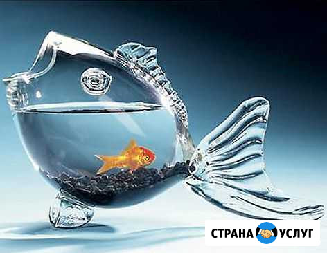 Оформление, обслуживание аквариумов и тп Уфа - изображение 1
