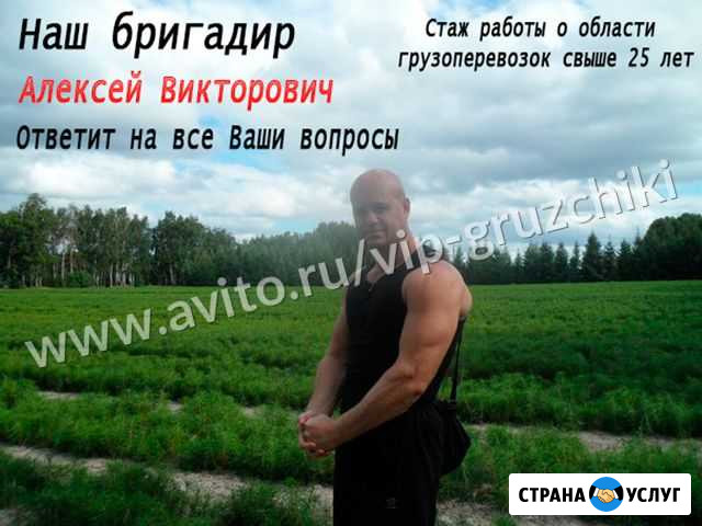 Грузчики Щёлково - изображение 1