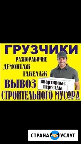 Сломаем,распилим,уберём и т.д Муром - изображение 1