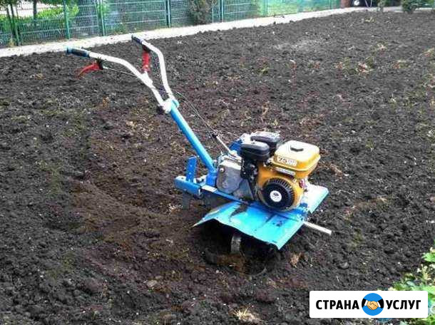 Вспашка земли мотоблоком,покос травы,грузоперевозк Аткарск - изображение 1