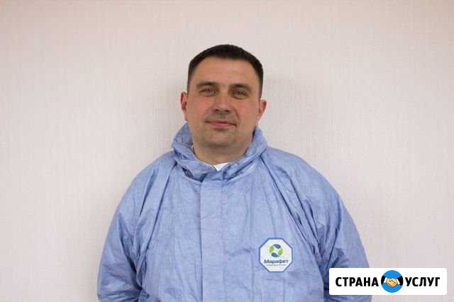 Обработка от клопов тараканов мух клещей Чебоксары Чебоксары - изображение 1