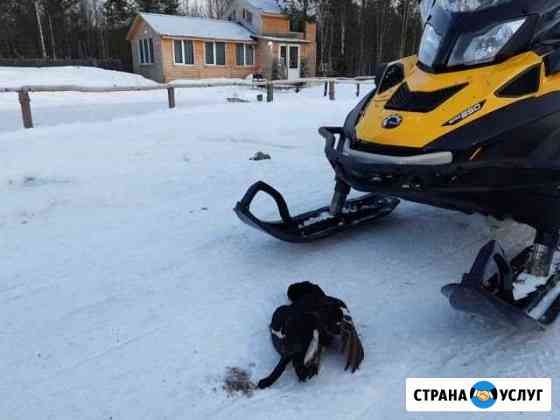 Гостевые дома, бани. Отдых загородом. Охота Архангельск