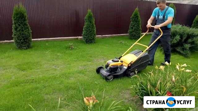 Расчистка участков, спил деревьев, покос травы Сочи - изображение 1