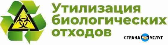 Утилизация Био отходов Саратов